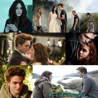 The Twilight Saga